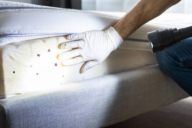 Best Pest Control Near Me  in Milton, WA